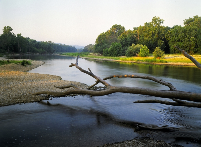 Take Action--The Illinois River is Threatened