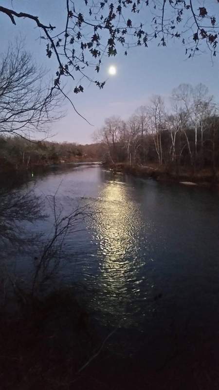 The Illinois River Year in Review